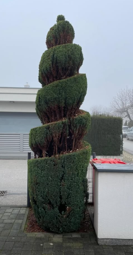 Odvoz vej, listja in zelenja Murska Sobota, Pomurje