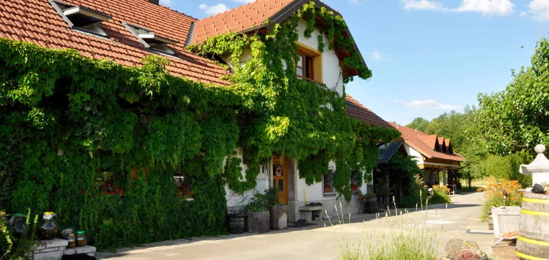 Overnight stay at a tourist farm in Central Slovenia