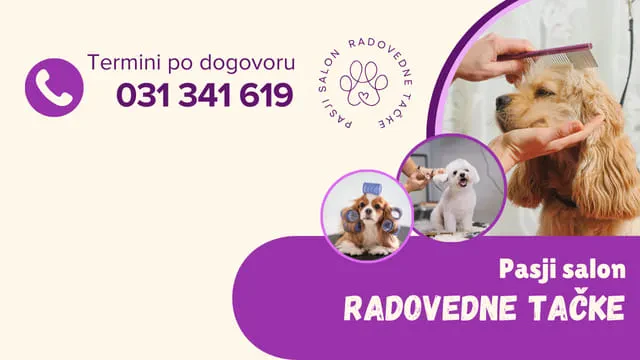 Pasji salon Domžale