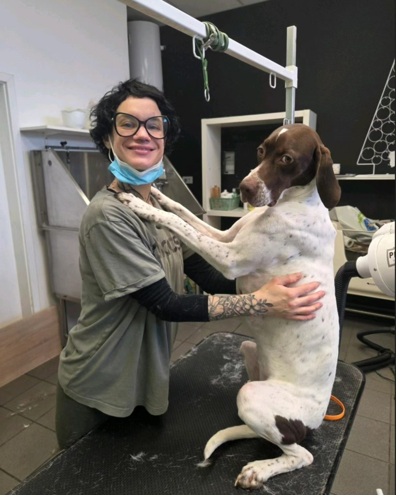 Salon za pse Ljubljana, okolica