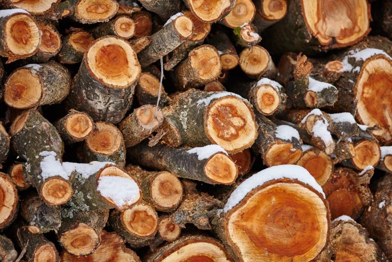 Ugoden odkup hlodovine Savinjska