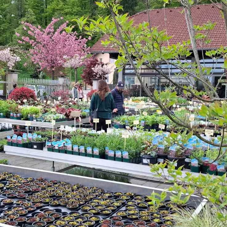 Dobro vrtnarstvo Ljubljana