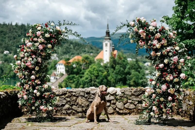 Organizacija poročnega cvetja in okrasja Slovenija