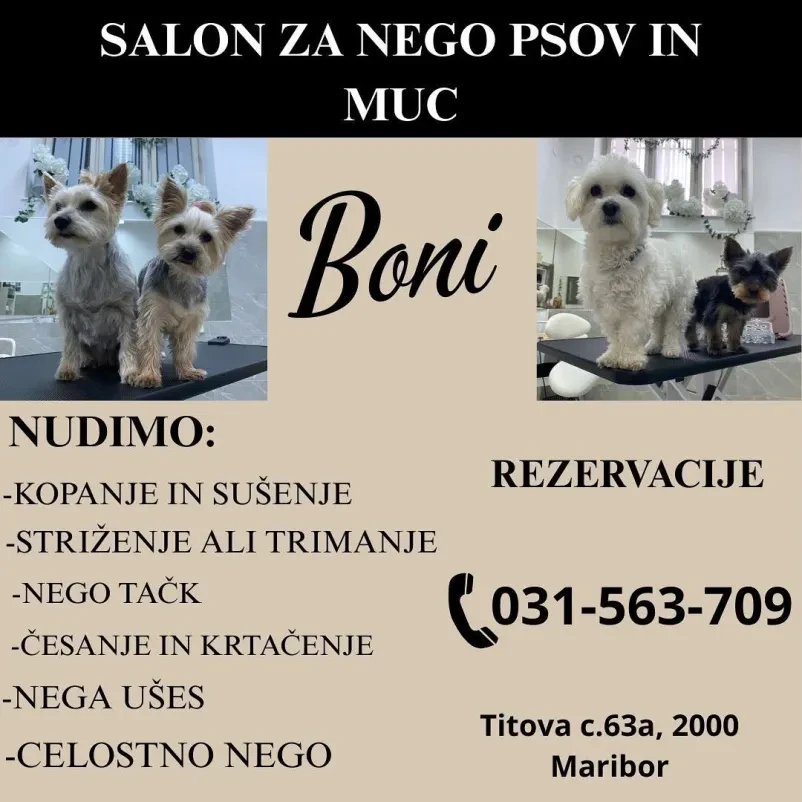 Kakovostna nega dlake in kože za pse in mačke Štajerska