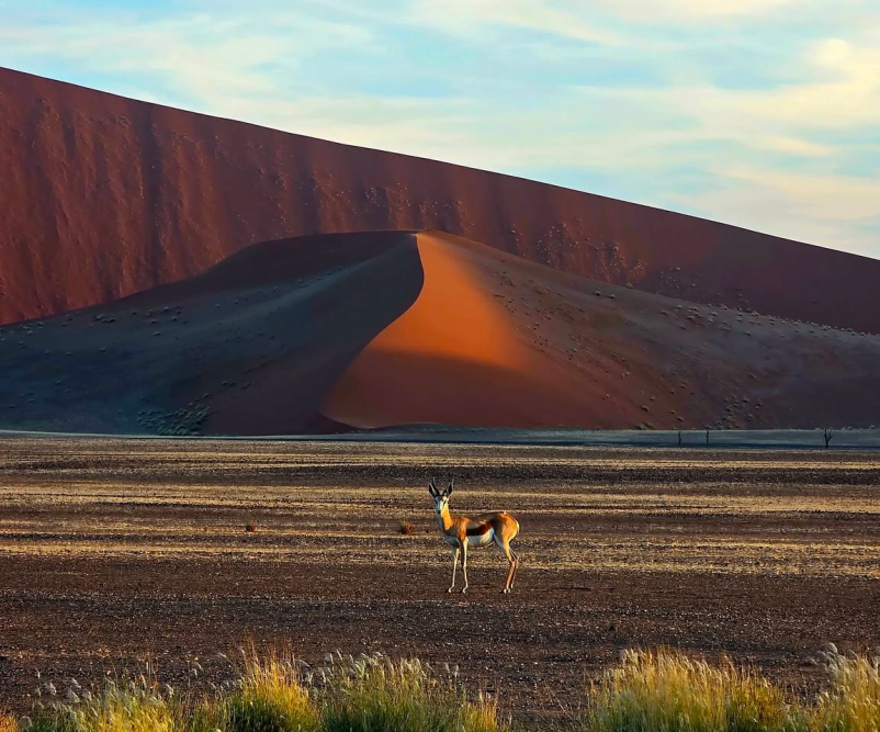 Zakaj izbrati skupinska potovanja v Ugando?