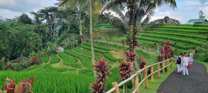 Organizirana ženska potovanja Slovenija