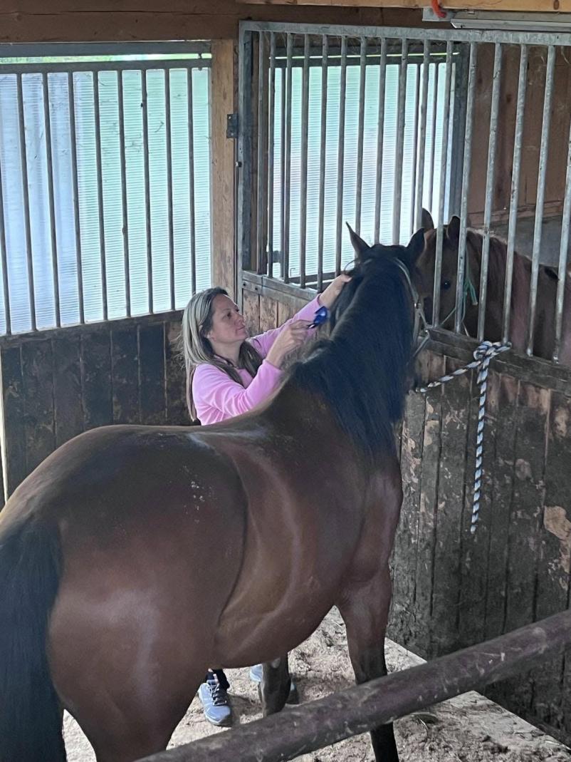 Nega konjev Savinjska