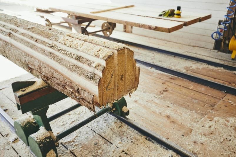 Strokovna obdelava lesa, ugoden rezan les in posek lesa Gorenjska