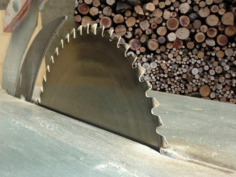 Lokalni ponudnik za ugoden rezan les in posek lesa Gorenjska