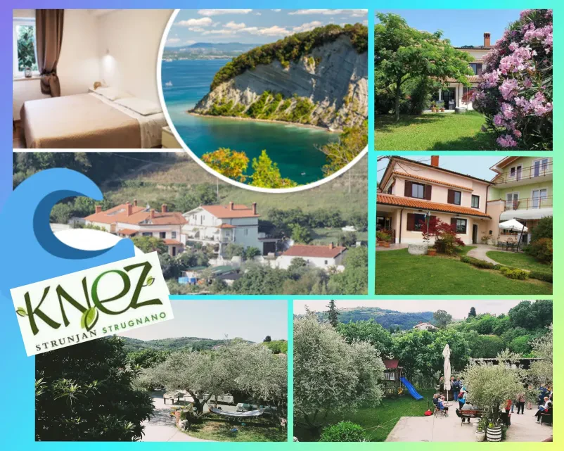 Koliko stanejo apartmaji v Strunjanu?