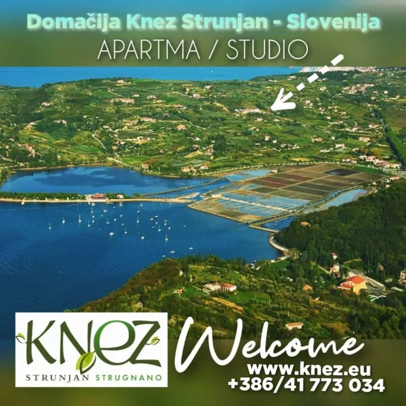 Nastanitev za pare, družine in ljubitelje mirnega oddiha na Obali