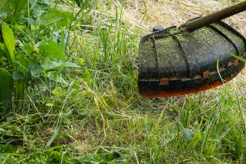 Vzdrževanje okolice Ljutomer, Pomurje