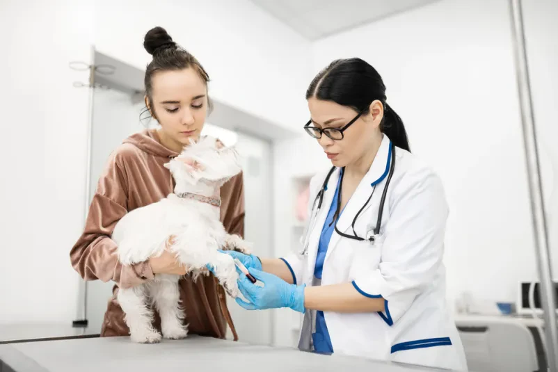 Dežurna veterinarska klinika Brežice, Posavje