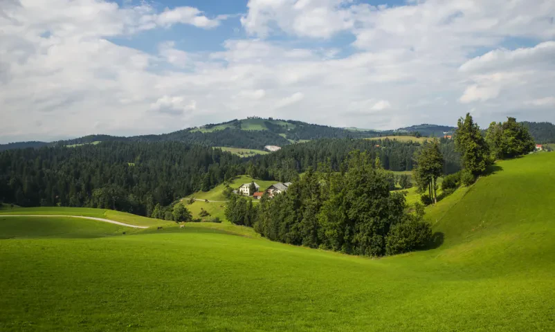 Planinsko društvo Rovte