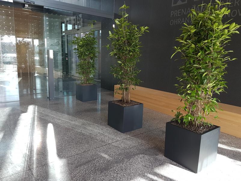 Vrtnarstvo Ljubljana