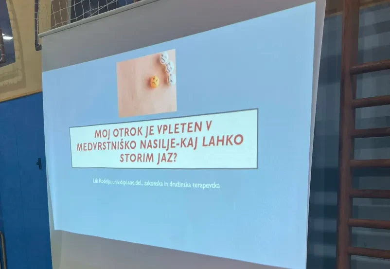 Družinska terapija Ljubljana, odnosi in komunikacija