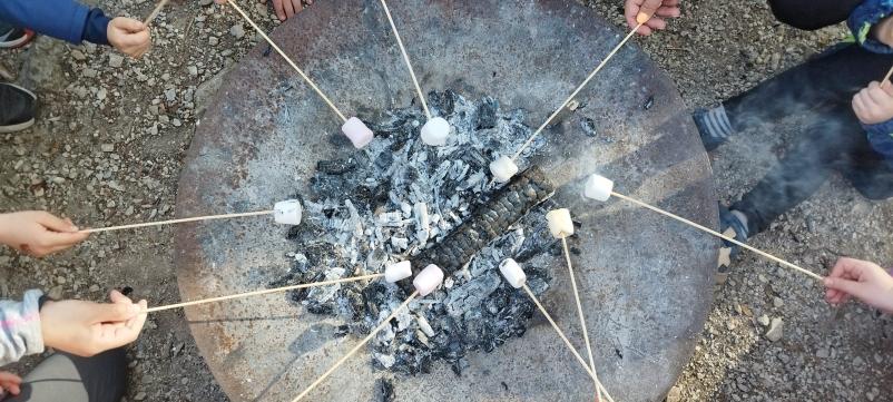 Vpis v zasebni vrtec Cerklje na Gorenjskem