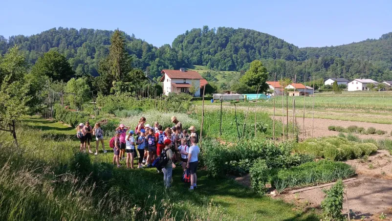 Eterična olja in mila Celje, Klučarjeva domačija