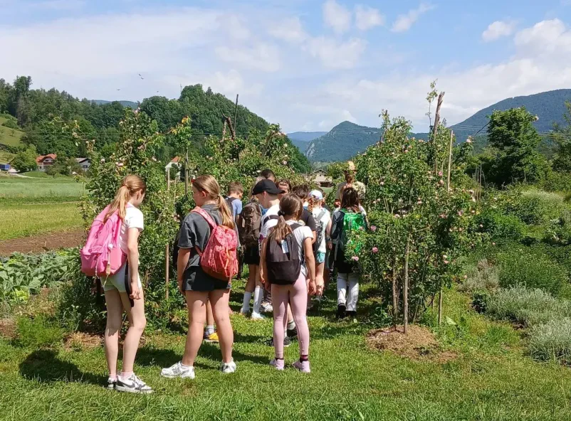 Sonaravna pridelava in zeliščne delavnice Celje