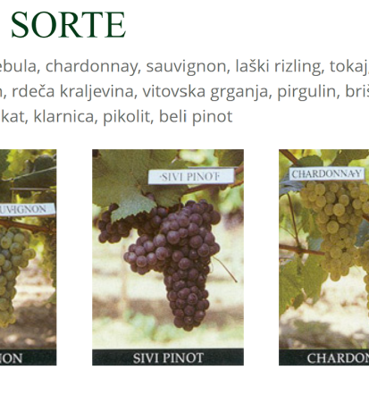 Zanesljive trsne cepljenke Slovenija