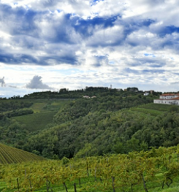 Poročna fotografija, fotografiranje za dokumente