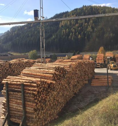 Krovski les Slovenija