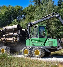 Posek, spravilo, odkup in prodaja lesa, prevozi v Italijo