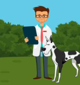 Veterinar