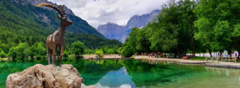 DANIJEL KUNSTELJ S.P., dober apartma Kranjska Gora
