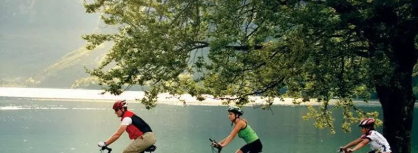 Ugodne sobe, apartmaji Bohinj