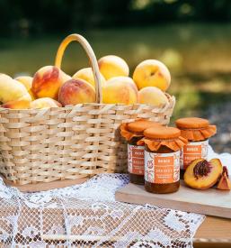 Vrhunska vina, domače marmelade, kis