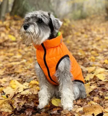 Veterinarstvo, trgovina s hrano za male živali