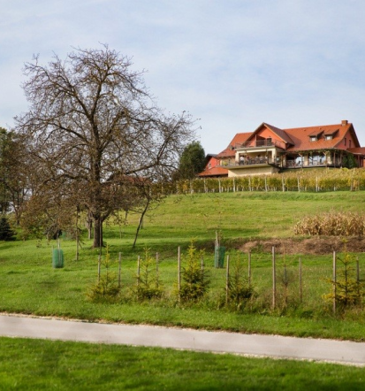 Pristna hrana in prijetna prenočišča, turistična kmetija Prekmurje