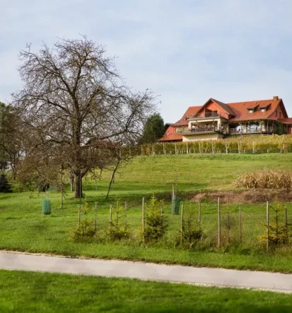 Pristna hrana in prijetna prenočišča, turistična kmetija Prekmurje