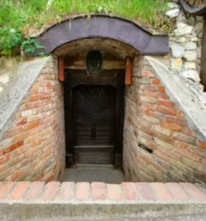 Obiščite vinsko klet Bizeljsko