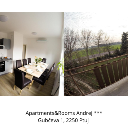 Za ugoden najem odličnega apartmaja na Ptuju izberite Apartments & Rooms Andrej