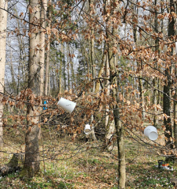 Pomoč in varstvo na domu