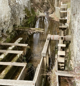 Apartmaji, kamp, meditacija