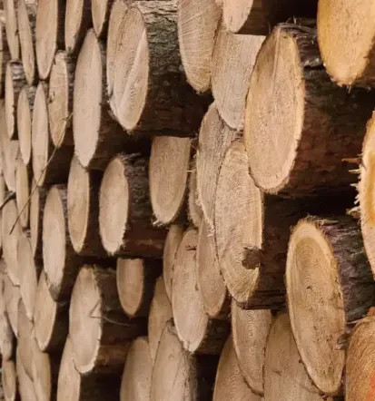 Gozdarska dela, sečnja in spravilo lesa
