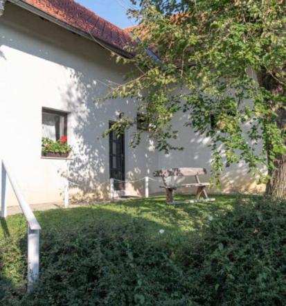 Ranch Velka, nastanitev, jahanje, Vojko Podgornik