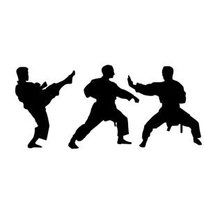 KARATE KLUB BRANIK