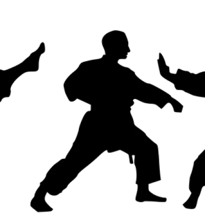 Karate klub