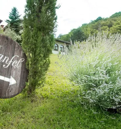 Turistična kmetija Goriška Brda