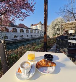 Odlična restavracija Promenada, Ljubljana center, INVESTI KAPITAL d.o.o.