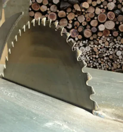 Lesna industrija na Savinjskem