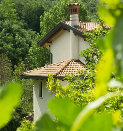Turistična kmetija, vina, hrana, praznovanje Goriška