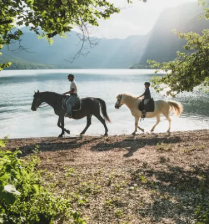Terensko jahanje in šola jahanja v Bohinju