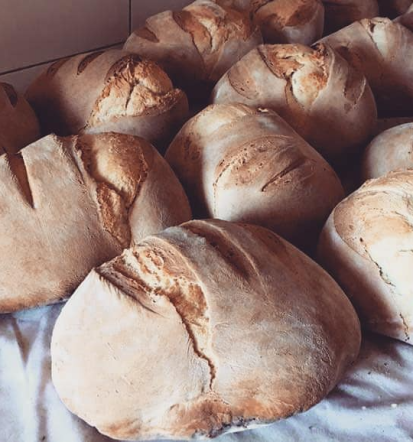 Kmečki turizem Kras, Goriška, prostor za praznovanja