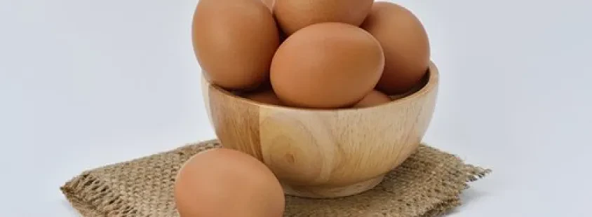 Ekološka, domača jajca, Štajerska