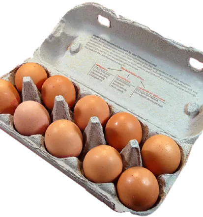 Ekološko - jajca s Štajerske
